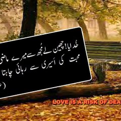 A Qaiser