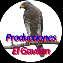Producciones el Gavilan