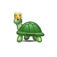 XturtlekingX