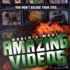 Amazing videos World
