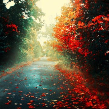 FASHION AND SKIN CARE and drama