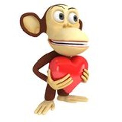 FUNNY VIDEOS