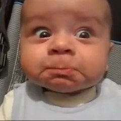 Funny Videos