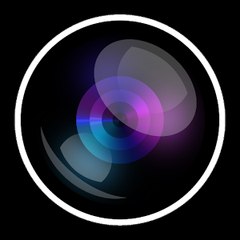 Top Videos