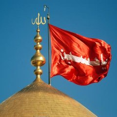 الفرقة الناجية هم الشيعة
