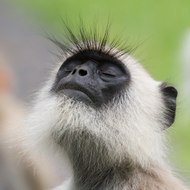 Wildberry Expeditions