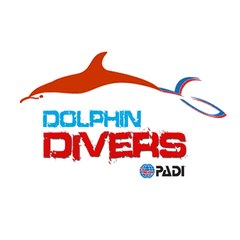 DolphinPlongee