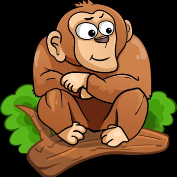 Dmonkey79