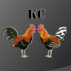 คนรักไก่ชน(คลิป)