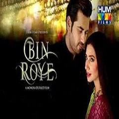 Bin Roye