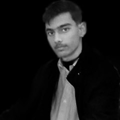 Hamza Rehman