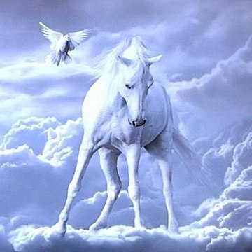 Mehdi Mesih Hakkında Bilgi