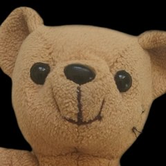 L'Ours Gentil