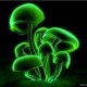 GoDwEEd_SliM