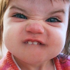 Funny Videos