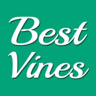 Best Vines