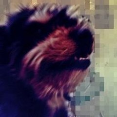 Peludayte