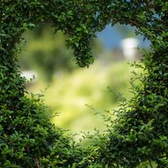 Positive Thinking ASMR