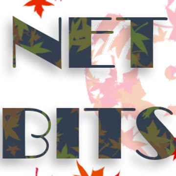 Net Bits