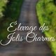 Elevage des Jolies Charmes