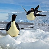 Геннадий Черепанов