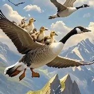 Aynur AVCI *Videoları