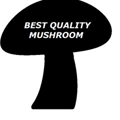 BEST QUALITY MUSHROOM