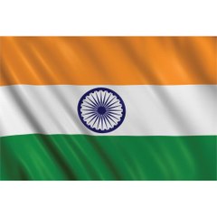 Reasonable Indian