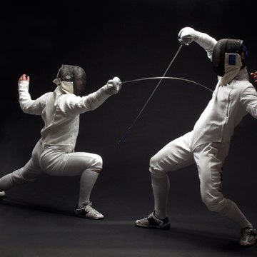Fencing x4