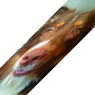 Bow and the open roads