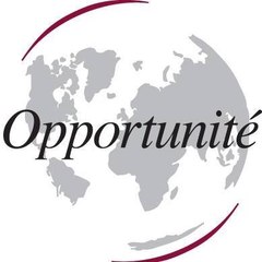 Opportunité du Net