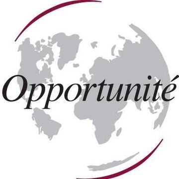 Opportunité du Net