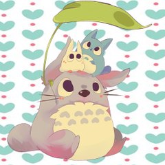 TotoroK19