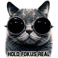 HoldFokusReal