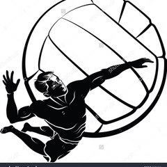 Volleyball x2