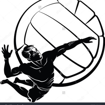 Volleyball x2