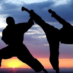 Karate x2