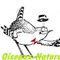 Association Oiseaux Nature 88