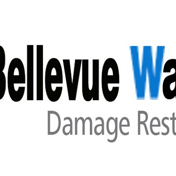 Bellevuewaterfiredamagepros