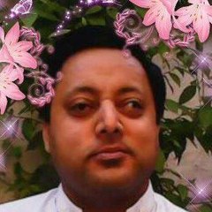 PAK PAPULAR WORDPRESS WEBSITE