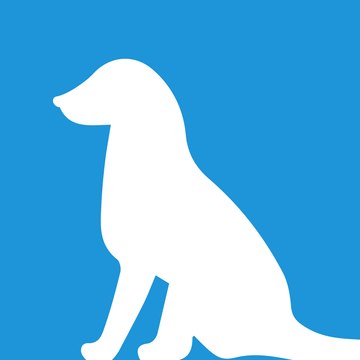 Dog Training App