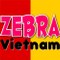 Zebra Vietnam