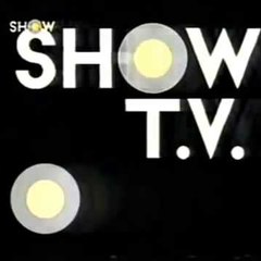 THE TV SHOW