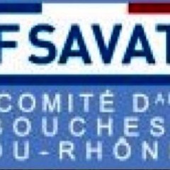 CDSBF 13