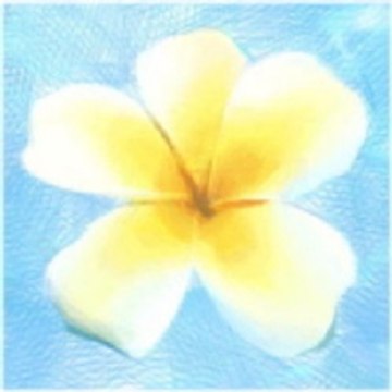 晴れたらいいね