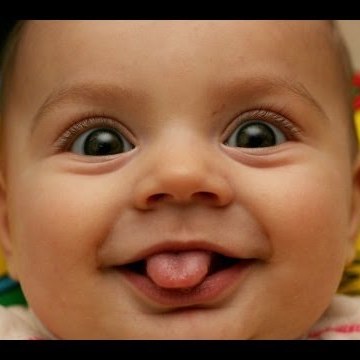Laughing Expert