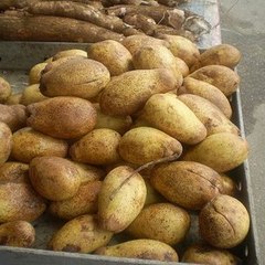Buahbinjai