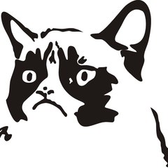 Catgaming