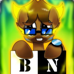 The Brony Network