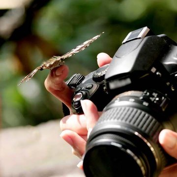 Fotografi
